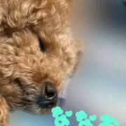 ヒメ日記 2025/06/02 14:57 投稿 ななお Okini所沢