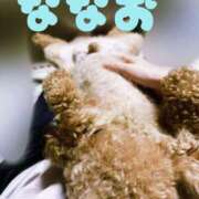 ヒメ日記 2025/06/28 15:07 投稿 ななお Okini所沢