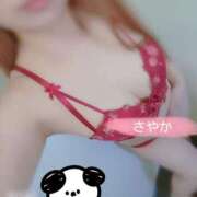 ヒメ日記 2025/09/14 17:47 投稿 さやか 小倉ぽっちゃりデリヘル　ぷにぷにぷりん