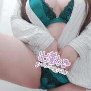 ヒメ日記 2025/01/29 19:18 投稿 わかな 小倉ぽっちゃりデリヘル　ぷにぷにぷりん