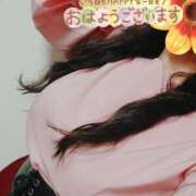 ヒメ日記 2025/02/12 07:15 投稿 わかな 小倉ぽっちゃりデリヘル　ぷにぷにぷりん