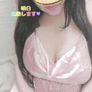 ヒメ日記 2025/03/29 12:45 投稿 わかな 小倉ぽっちゃりデリヘル　ぷにぷにぷりん