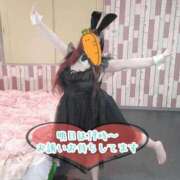 ヒメ日記 2025/04/01 17:30 投稿 わかな 小倉ぽっちゃりデリヘル　ぷにぷにぷりん