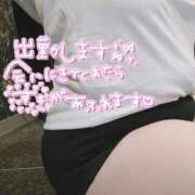 ヒメ日記 2025/04/28 15:45 投稿 わかな 小倉ぽっちゃりデリヘル　ぷにぷにぷりん