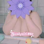 ヒメ日記 2025/07/11 01:48 投稿 わかな 小倉ぽっちゃりデリヘル　ぷにぷにぷりん