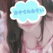 ヒメ日記 2025/08/12 02:16 投稿 わかな 小倉ぽっちゃりデリヘル　ぷにぷにぷりん