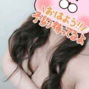 ヒメ日記 2025/08/28 07:45 投稿 わかな 小倉ぽっちゃりデリヘル　ぷにぷにぷりん