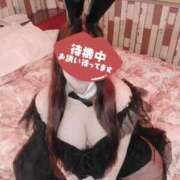 ヒメ日記 2025/10/15 20:52 投稿 わかな 小倉ぽっちゃりデリヘル　ぷにぷにぷりん