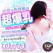 ヒメ日記 2025/11/10 03:04 投稿 わかな 小倉ぽっちゃりデリヘル　ぷにぷにぷりん