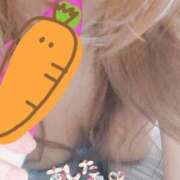 ヒメ日記 2025/11/19 02:00 投稿 わかな 小倉ぽっちゃりデリヘル　ぷにぷにぷりん