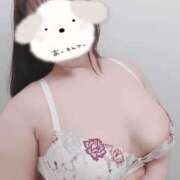 ヒメ日記 2025/12/03 12:03 投稿 わかな 小倉ぽっちゃりデリヘル　ぷにぷにぷりん