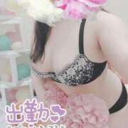 ヒメ日記 2025/12/19 19:02 投稿 わかな 小倉ぽっちゃりデリヘル　ぷにぷにぷりん