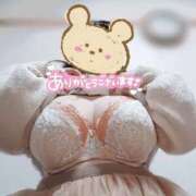 ヒメ日記 2026/02/25 02:47 投稿 わかな 小倉ぽっちゃりデリヘル　ぷにぷにぷりん