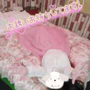 ヒメ日記 2026/03/11 00:40 投稿 わかな 小倉ぽっちゃりデリヘル　ぷにぷにぷりん