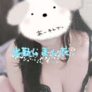 ヒメ日記 2026/03/31 19:03 投稿 わかな 小倉ぽっちゃりデリヘル　ぷにぷにぷりん