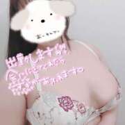 ヒメ日記 2026/04/14 19:02 投稿 わかな 小倉ぽっちゃりデリヘル　ぷにぷにぷりん