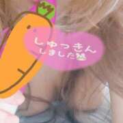 ヒメ日記 2026/04/20 19:02 投稿 わかな 小倉ぽっちゃりデリヘル　ぷにぷにぷりん