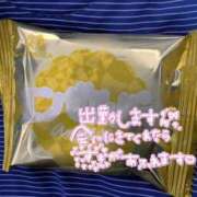 ヒメ日記 2026/06/19 12:05 投稿 わかな 小倉ぽっちゃりデリヘル　ぷにぷにぷりん