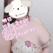 ヒメ日記 2026/07/19 15:15 投稿 わかな 小倉ぽっちゃりデリヘル　ぷにぷにぷりん