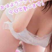 ヒメ日記 2026/07/20 08:45 投稿 わかな 小倉ぽっちゃりデリヘル　ぷにぷにぷりん
