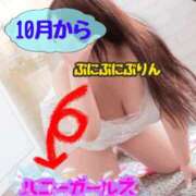 ヒメ日記 2026/09/13 10:45 投稿 わかな 小倉ぽっちゃりデリヘル　ぷにぷにぷりん