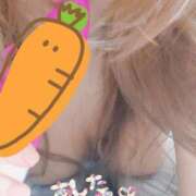 ヒメ日記 2026/09/15 03:48 投稿 わかな 小倉ぽっちゃりデリヘル　ぷにぷにぷりん