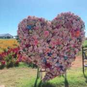 ヒメ日記 2025/03/22 16:28 投稿 りん 人妻ちゃんねる