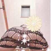 ヒメ日記 2025/01/07 16:37 投稿 れみ 即アポマダム～名古屋店～