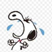 ヒメ日記 2025/01/08 17:23 投稿 れみ 即アポマダム～名古屋店～