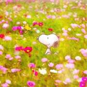 ヒメ日記 2025/05/14 19:31 投稿 れみ 即アポマダム～名古屋店～