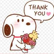 ヒメ日記 2026/01/17 07:37 投稿 れみ 即アポマダム～名古屋店～