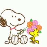 ヒメ日記 2026/01/18 07:51 投稿 れみ 即アポマダム～名古屋店～