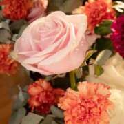 れみ お久しぶりです。 即アポマダム～名古屋店～