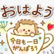 ヒメ日記 2026/04/16 09:21 投稿 れみ 即アポマダム～名古屋店～