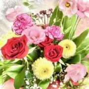 ヒメ日記 2026/04/29 18:31 投稿 れみ 即アポマダム～名古屋店～