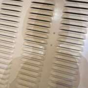 ヒメ日記 2025/03/10 11:18 投稿 れみ 即アポ奥さん〜名古屋店〜