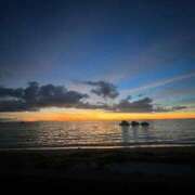 ヒメ日記 2025/11/16 07:43 投稿 りょうこ 府中ダービー