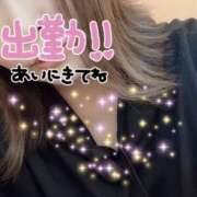 ヒメ日記 2026/08/21 21:52 投稿 千葉美波（ちばみなみ） 姫路マダム大奥
