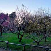 ヒメ日記 2025/03/17 08:57 投稿 みらい 素人系イメージSOAP彼女感大宮館