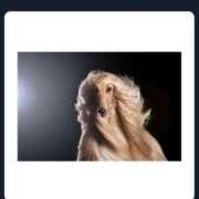 ヒメ日記 2025/03/18 21:22 投稿 みらい 素人系イメージSOAP彼女感大宮館