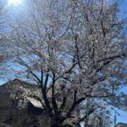 ヒメ日記 2025/04/08 04:13 投稿 みらい 素人系イメージSOAP彼女感大宮館