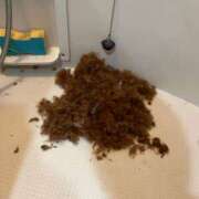 ヒメ日記 2025/04/17 16:43 投稿 みらい 素人系イメージSOAP彼女感大宮館