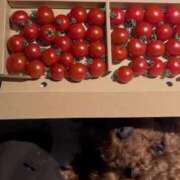 ヒメ日記 2025/05/09 21:20 投稿 みらい 素人系イメージSOAP彼女感大宮館