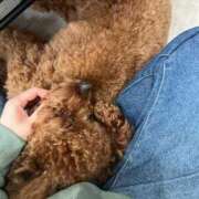 ヒメ日記 2025/05/24 09:28 投稿 みらい 素人系イメージSOAP彼女感大宮館