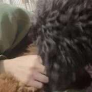 ヒメ日記 2025/05/24 22:43 投稿 みらい 素人系イメージSOAP彼女感大宮館