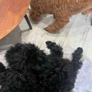 ヒメ日記 2025/05/30 09:26 投稿 みらい 素人系イメージSOAP彼女感大宮館