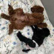 ヒメ日記 2025/05/30 23:44 投稿 みらい 素人系イメージSOAP彼女感大宮館