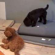 ヒメ日記 2025/06/05 22:44 投稿 みらい 素人系イメージSOAP彼女感大宮館