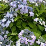 ヒメ日記 2025/06/06 21:25 投稿 みらい 素人系イメージSOAP彼女感大宮館