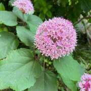 ヒメ日記 2025/07/01 15:15 投稿 みらい 素人系イメージSOAP彼女感大宮館